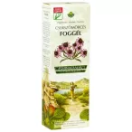 Herbária Cserszömörcés foggél echinaceaval 100ml