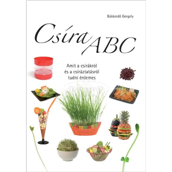 Könyv Csíra ABC 1db