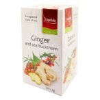 Apotheke gyümölcstea gyömbér és homoktövis 20x