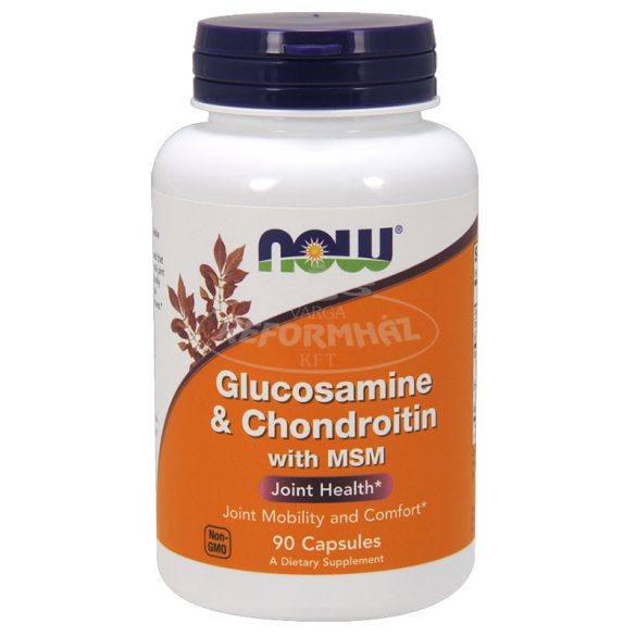 Now Glucosamine Chondroitin MSM 90x