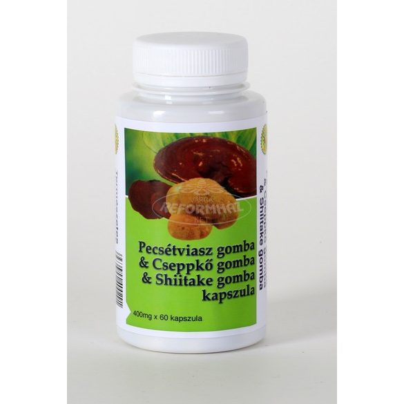 Big Star Cseppkő,Shiitake,Ganoderma gomba kapszula 60x