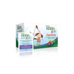   Herba Kids Gyerektea erdei gyümölcs ízű filteres 20x2g 20x