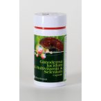   Big Star Ganoderma+Multivitamin+Szelén kapszula 500m~60x 60x