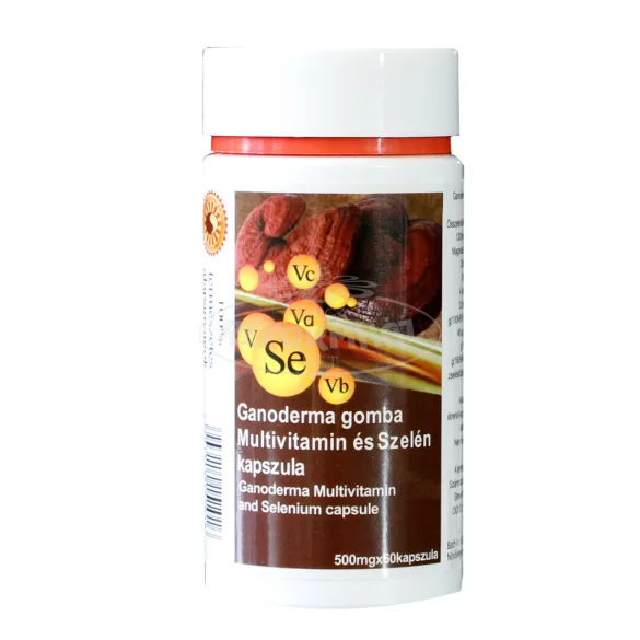 Big Star Ganoderma+Multivitamin+Szelén kapszula 500m~60x 60x