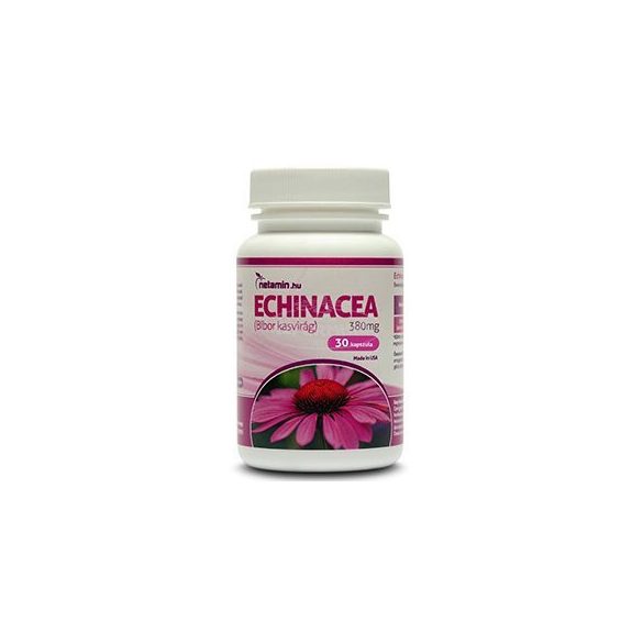 Netamin Echinacea 380mg kapszula 30x