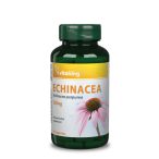 Vitaking Echinacea kapszula 250mg 90x