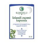 Dr.Chen Kohoflu izlandi zúzmó kapszula éjszaka 40x