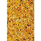 Nagy Fivérek Méhészete Virágpor 250g