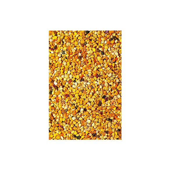 Nagy Fivérek Méhészete Virágpor 250g