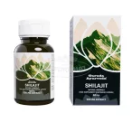 Garuda Ayurveda Shilajit 60x
