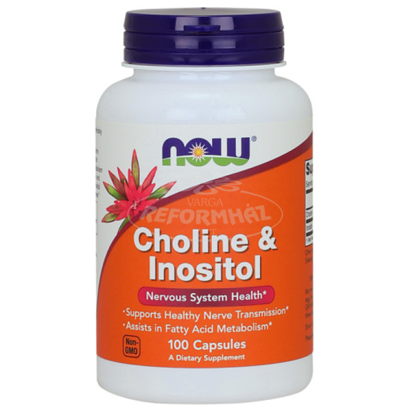 Now Choline Inositol kapszula 100x