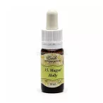 Bach virágeszencia magyal   15. 10ml