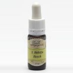 Bach virágeszencia bükkfa   3. 10ml