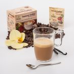 Ayura Herbal instant ganoderma cappucino vanília+stevia 10x