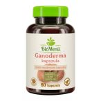 Biomenü bio ganoderma gomba kapszula 420mg 60x