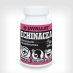 Javallat echinacea herba kapszula 60x