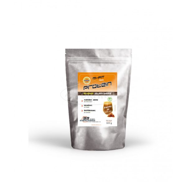 Dia-Wellness protein shake karamell 500g