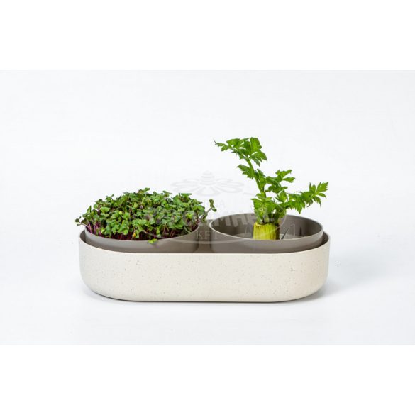 Plastia microgreens+regrow csíráztató edény 1db