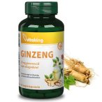 Vitaking GINZENG 20 mg ginzenozid napi adagonként 90db
