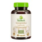 Biomenü bio Süngomba kapszula 60x