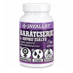 Javallat Barátcserje & orvosi zsálya 60x