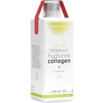 Nutriversum Women MSM+C hialuron kollagén ananász 500ml