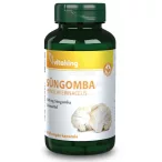Vitaking süngomba 500mg kapszula 60x