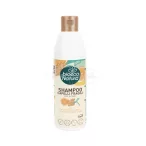 BioEcoNatura 1731 sampon töredezett hajra 250ml