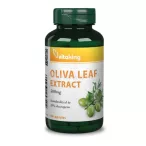 Vitaking Olivalevél Kivonat 500mg kapszula 500mg