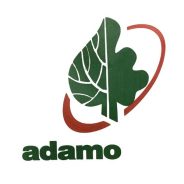 Adamo